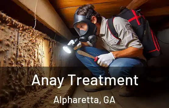  Anay Treatment Alpharetta, GA
