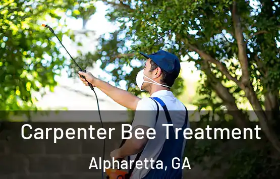  Carpenter Bee Treatment Alpharetta, GA