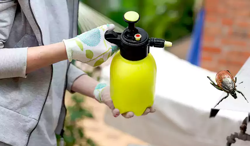 Ticks Pest Control Alpharetta, Georgia