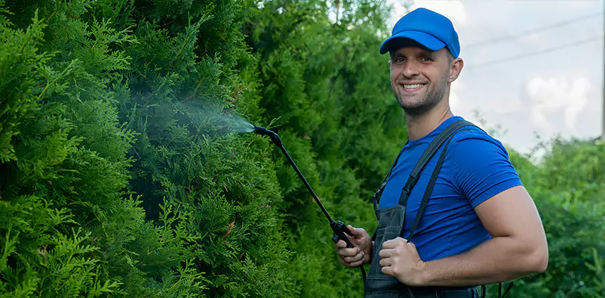 24 Hour Pest Control for Children and Pets Alpharetta, GA