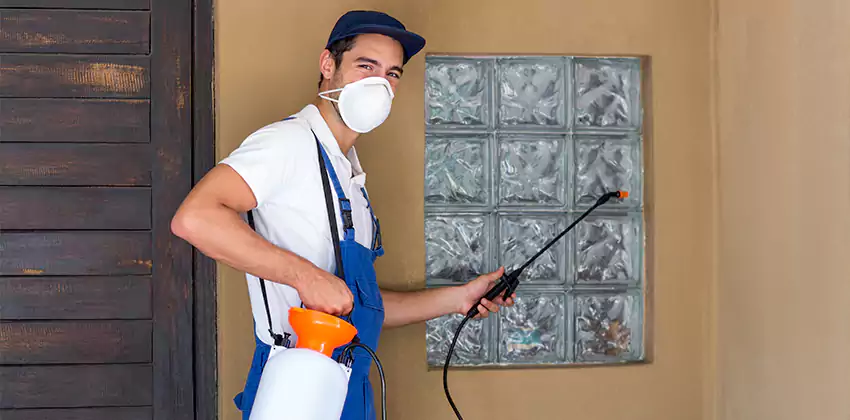 Bee Control for Bedrooms Alpharetta, GA