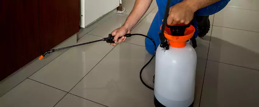 Prevent Future Roach Infestations Alpharetta, GA