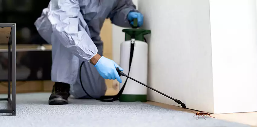 Commercial Pest Control for Offices in Alpharetta, GA