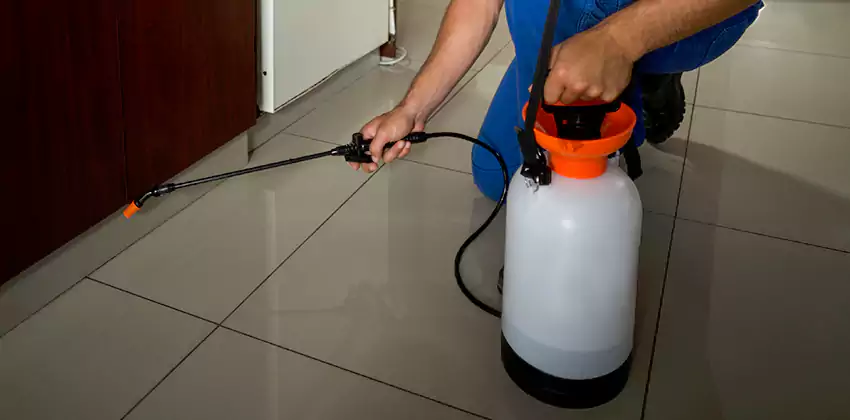 Commercial Pest Extermination for Offices in Alpharetta, GA