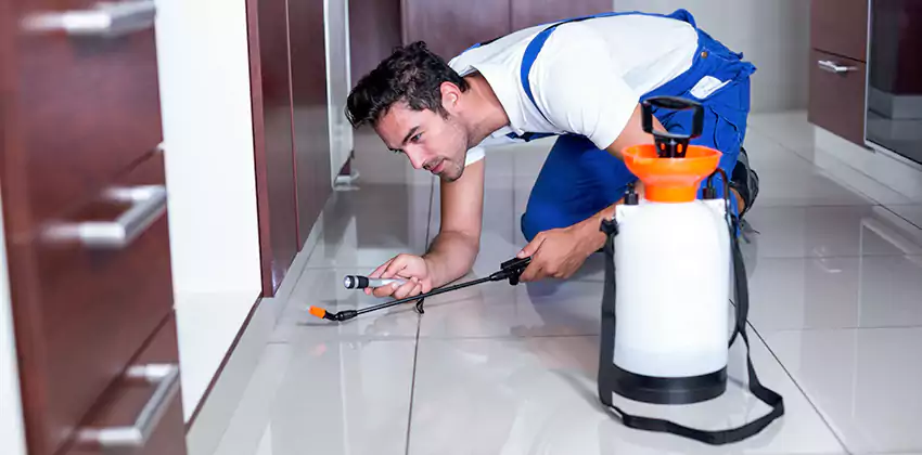 Protect Your Home with Our Pest Inspection Services Alpharetta, GA