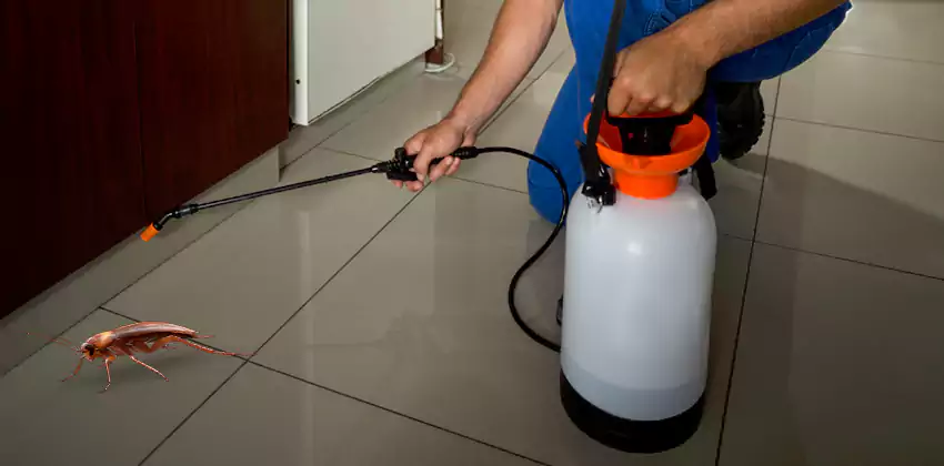 Exclusion and Sanitation Consultation in Alpharetta, GA