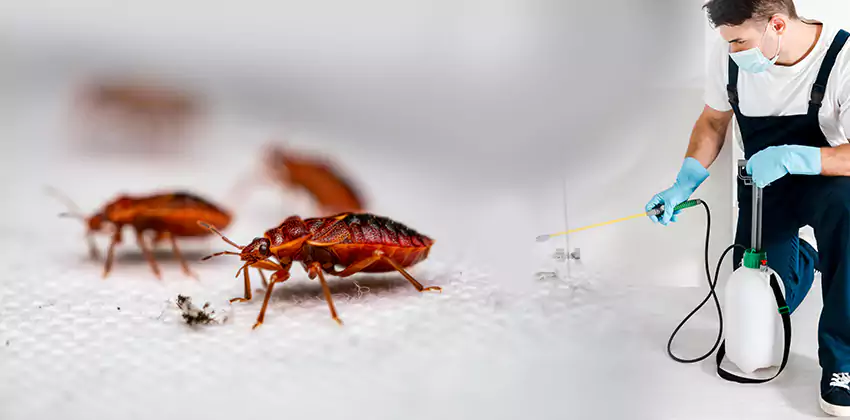 flea-control in Alpharetta, GA