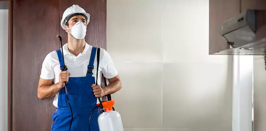 pest-inspection in Alpharetta, GA