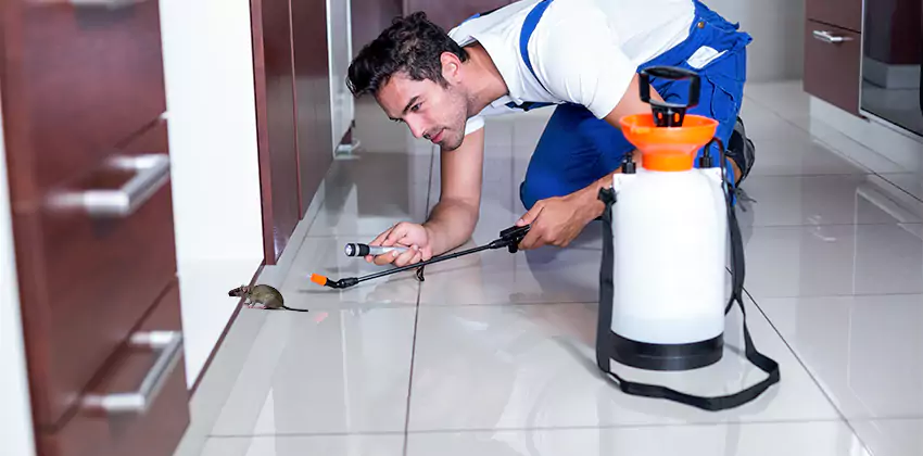 rat-control in Alpharetta, GA