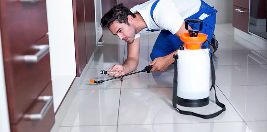 termite-exterminator in Alpharetta, GA