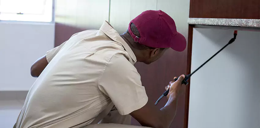 termite-inspection in Alpharetta, GA