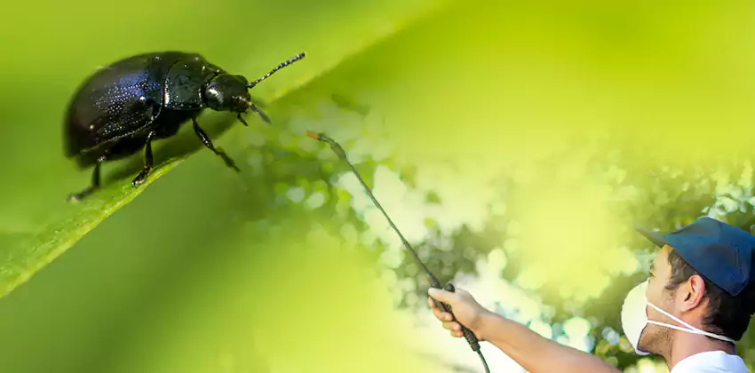 tick-control in Alpharetta, GA