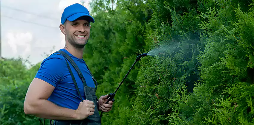 wasp-pest-control in Alpharetta, GA