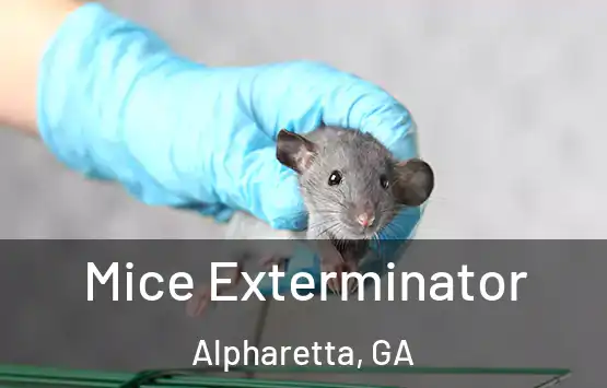  Mice Exterminator Alpharetta, GA