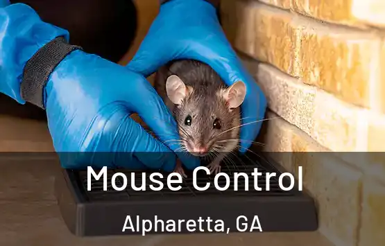  Mouse Control Alpharetta, GA
