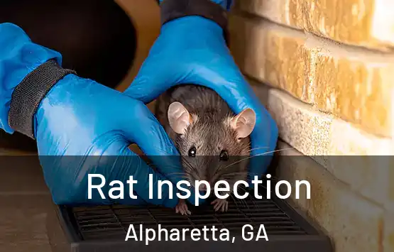  Rat Inspection Alpharetta, GA