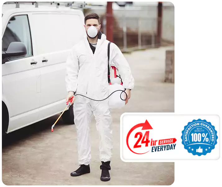 About Carpenter Bee Treatment Alpharetta