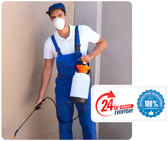 About Flea Exterminator Alpharetta