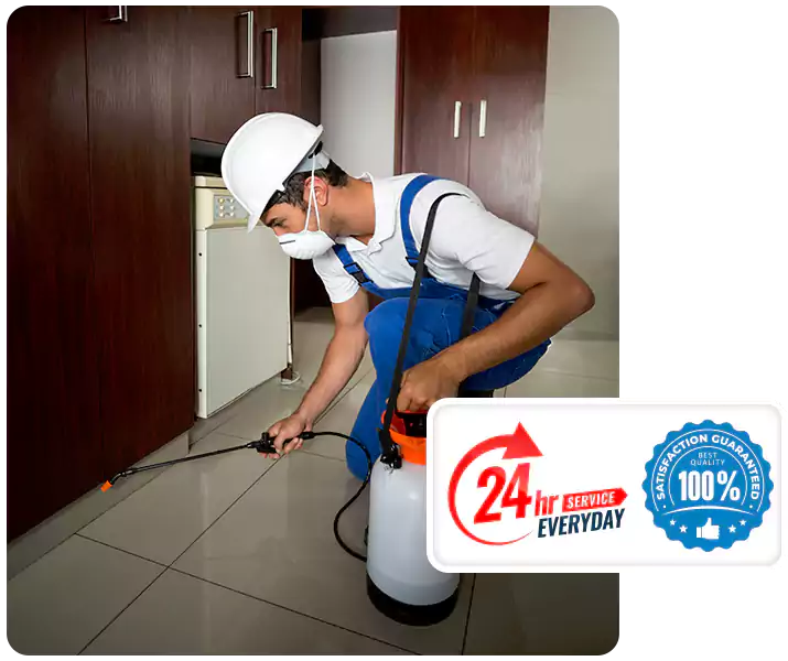 About Termite Treatment Alpharetta