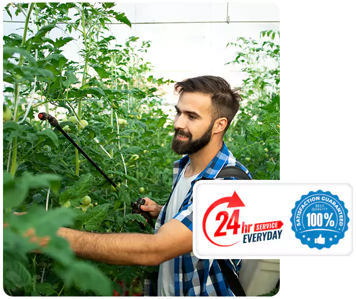 About Whitefly Treatment Alpharetta